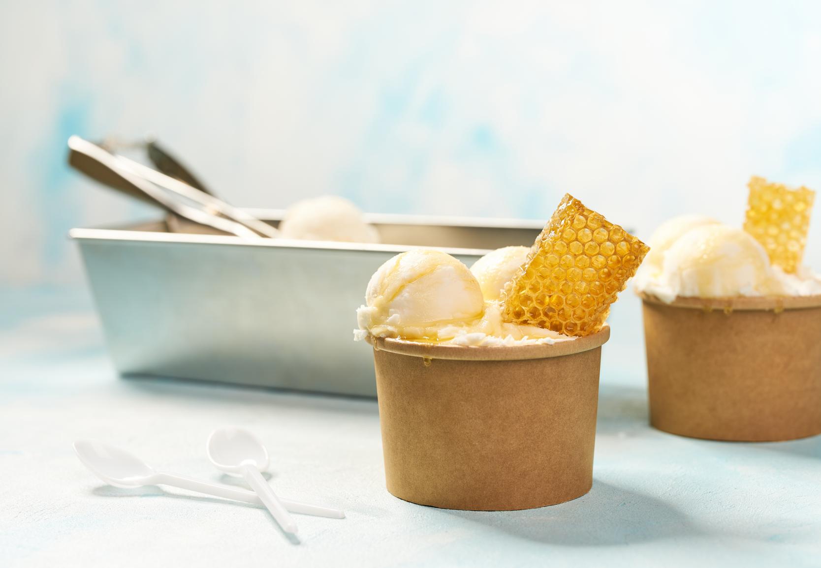 Recipes Honey Ice Cream Breville